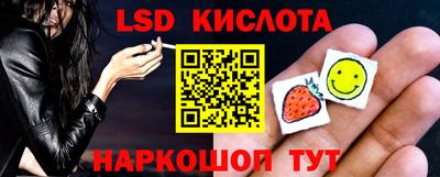 стафф Гатчина