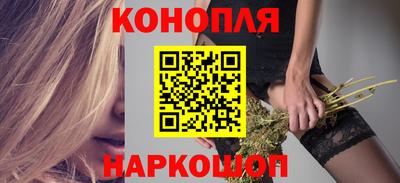 спайс Гай