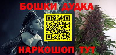 стафф Гатчина