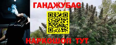 стафф Гатчина