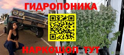 стафф Гатчина