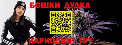 стафф Гатчина