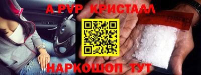 спайс Гай