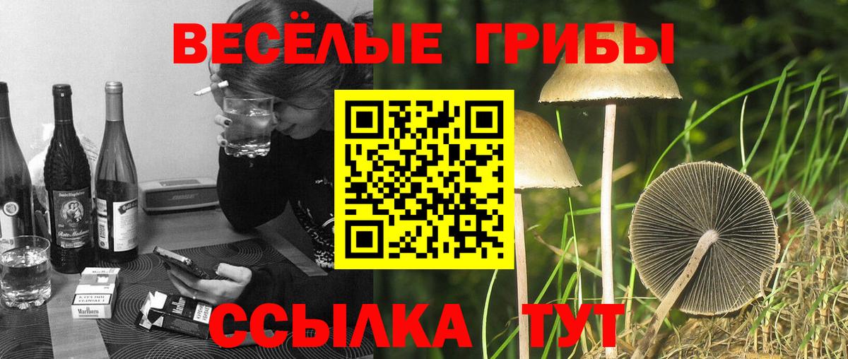 Галлюциногенные грибы Cubensis  Галлюциногенные грибы мухоморы  Новороссийск  сколько стоит  Вход с VPN 